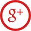 google + button